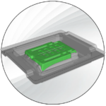 GMT molding sim